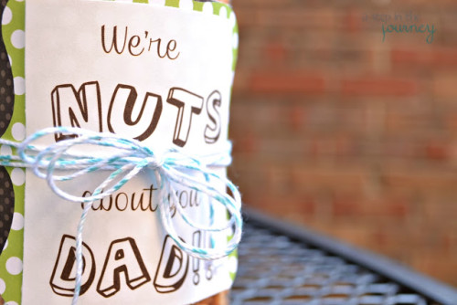 Father's day gift ideas nuts for dad